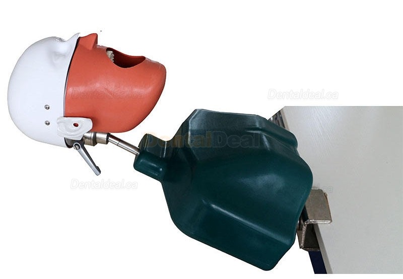 Jingle JG-C1 Clamp Type Dental Phantom Head Simulator Compatible with Nissin Kilgore/Frasaco
